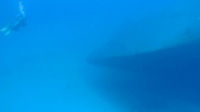 people diving caribbean sea underwater 1080P video