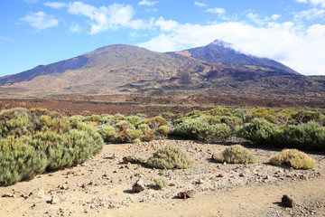 El Teide National Park on Tenerife Island, Canary Islands, Spain