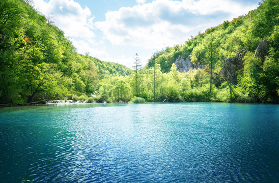lake in forest of Croatia