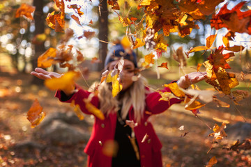 Fall leaves