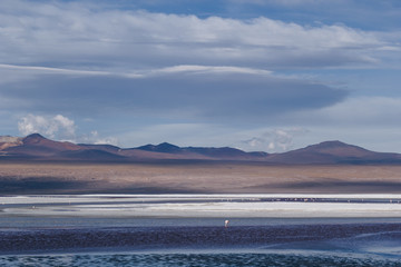 Desert and mountain over blue sky and white clouds on Altiplano,Bolivia