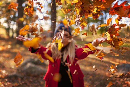 Fall leaves