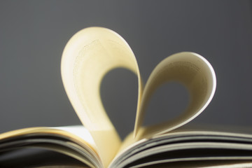 Liebeserklärung an das Lesen
