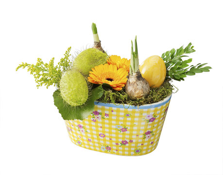 Potted Plant with flowres and easter egg