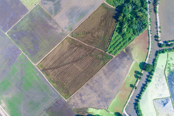Aerial view preparation for rice paddy plantation