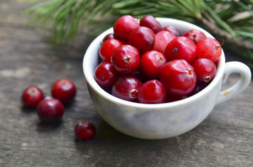 Fresh red organic Cranberries (Cowberry,Lingonberry) in a vintage porcelain cup on a rustic table.Cranberry on wooden background.Selective focus.