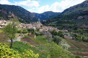 Fototapeta na wymiar Back view on Valldemosa in Majorca