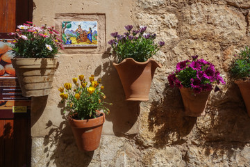 Typical street in Valldemosa