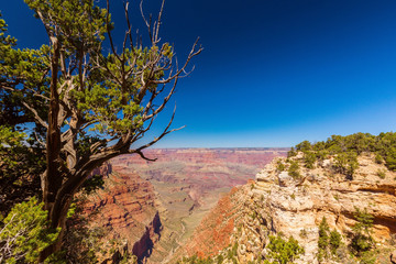 Bright scenery in the Grand Canyon National Park, with red stone formations and clear blue sky