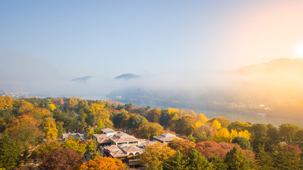 Naklejka premium Aerial view. Sunrise Autumn at Nami island ,Seoul Korea