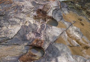 Holes in the rock covered with algae