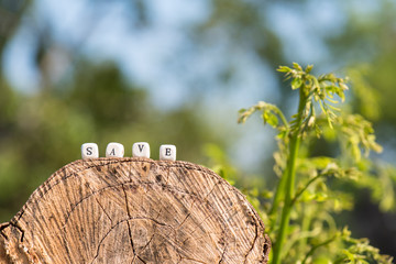 wooden alphabet 
