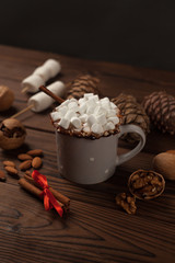 Hot chocolate with cinnamon sticks, nuts and cones on rustic wooden background