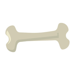 bone drawing isolated icon