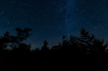 Starry Night - Dolly Sods Wilderness, West Virginia
