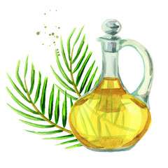 Palm oil. Watercolor illustration