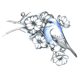 Hand drawn line art ink and watercolor blue bird with the flowers. Cherry branch, spring blossom. Blooming twig in graphic style 