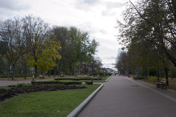 the path in the park of the city grows the trees fall off the leaves