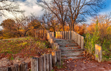 Wooden steps line the path in Austin, Texas