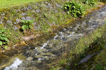 Mountain river named The Bystra stream in Zakopane © marek_usz