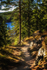 Autumn colors on forest over lake in high mountains.