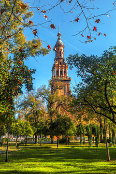 View of the Tower on Plaza Espana from the Park of Maria Luisa (Parque de Maria Luisa). Seville (Sevilla), Andalusia, Spain.
