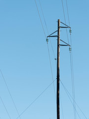 Telephone pole