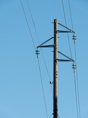Telephone pole
