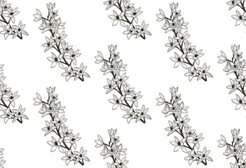 Vector Black Seamless Pattern with Drawn Flowers