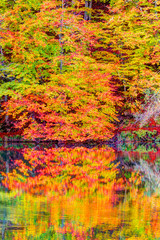 Yedigoller National Park, Bolu