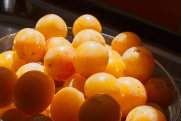 small yellow plum sorts mirabel in a deep glass plate under the rays of the setting sun. color image of European fruit with natural light