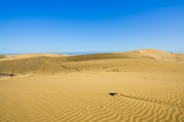 Dunes of Maspalomas