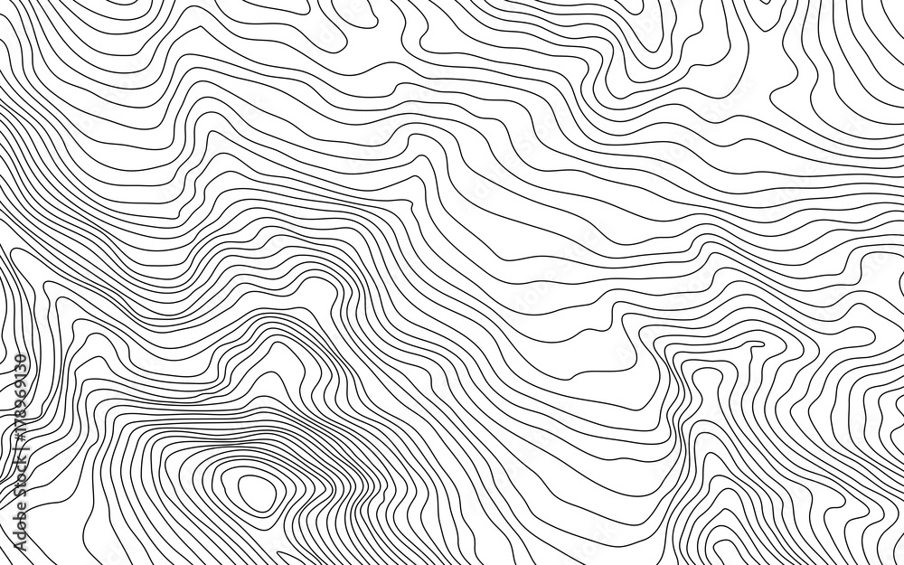 Wall mural mobilethe stylized height of the topographic contour in lines and contours. the concept of a conditi