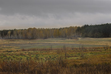 Fototapeta premium Autumn field.