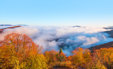 Fototapeta premium Yedigoller National Park, Bolu