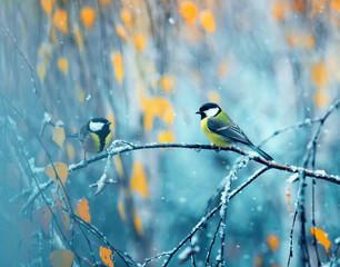 pair of chickadees sitting in the Park on a branch among bright autumn foliage during a snowfall