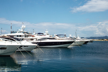 Yachts standing in port on the sea in the summer in Sochi