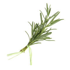 Fototapeta premium Isolated on white Herbs in a cute little Bunch - Rosemary