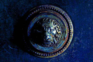 Fototapeta premium TURN THE LION