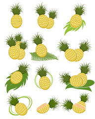 Different variants of pineapples