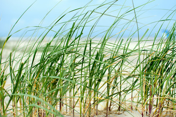 Fototapeta na wymiar Nordsee, Strand auf Langenoog: Dünen, Meer, Entspannung, Ruhe, Erholung, Ferien, Urlaub, Meditation :)