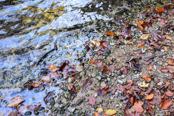 Wasser mit steinen und laub