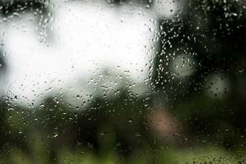 Rainy Day