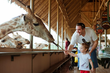 Little kid boy with his dad  watching and feeding giraffe in zoo. Dreams come true. Happy family having fun with animals safari park on warm summer day.