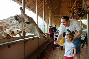 Little kid boy with his dad watching and feeding giraffe in zoo. Dreams come true.