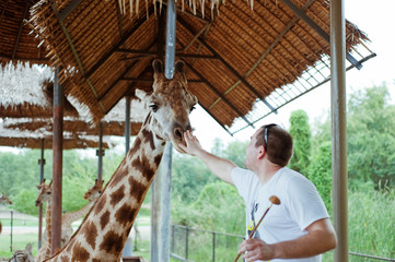 Handsome man feeding a giraffe in zoo. Dreams come true. © Anna