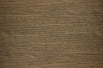 The beautiful flora in the garden background