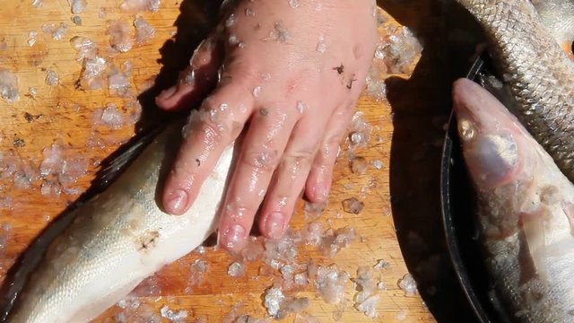 Cleaning and cutting fresh fish outdoors on a Sunny day