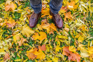 First-person view on feet in leather boots among fallen leaves. Autumn Approach, Season Change Concept