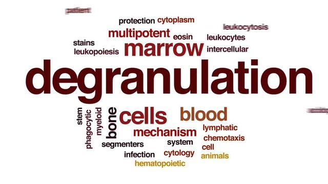 Degranulation animated word cloud, text design animation.
